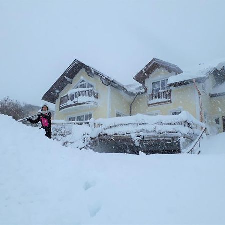 Ferienwohnung Nahe Fuschlsee, Hof Bei Salzburg Exterior foto