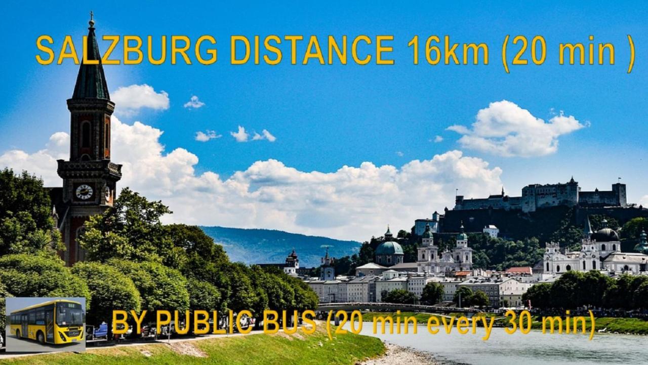 Ferienwohnung Nahe Fuschlsee, Hof Bei Salzburg Exterior foto